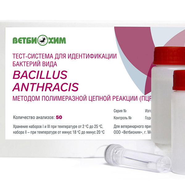 Тест-система для идентификации бактерий вида BACILLUS ANTHRACIS методом полимеразной цепной реакции (ПЦР)